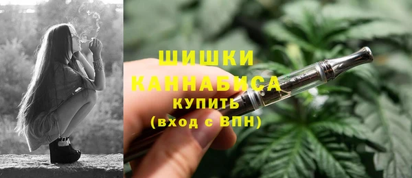ешки Верхний Тагил