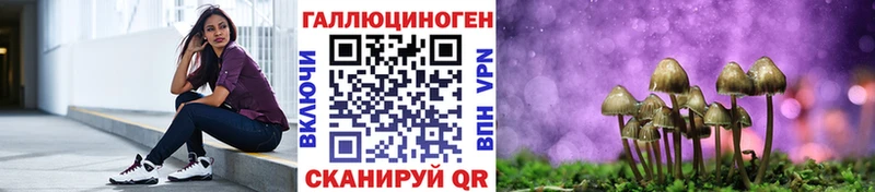 Псилоцибиновые грибы мицелий  Чебоксары 